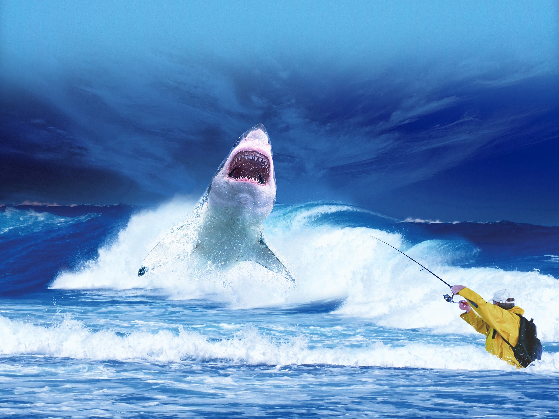 Red Ocean versus Blue Ocean: waarom onderscheidend ondernemen essentieel is voor een succesvol business model