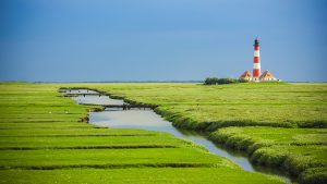 het beste webdesign en webdevelopment van friesland