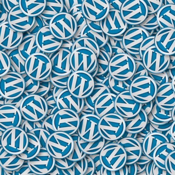Ontdek de Kracht van WordPress Multisite: Voor- en Nadelen